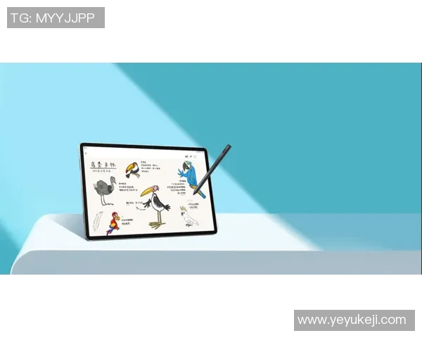 攀岩装备选购指南与滑板推荐全攻略助你轻松入门