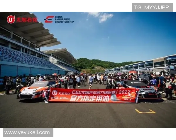 深圳乒乓球队表现卓越最新耐力排名TOP10揭晓