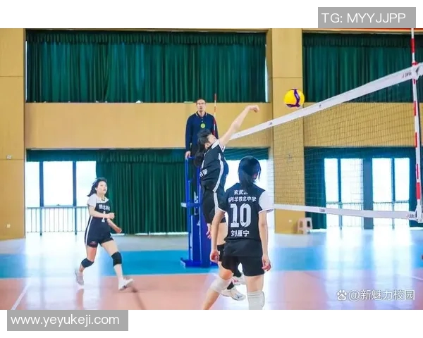 南京排球队荣登全国排球配合排行榜第五名展现团队实力与风采 南京排球队荣登全国排球配合排行榜第五名展现团队实力与风采